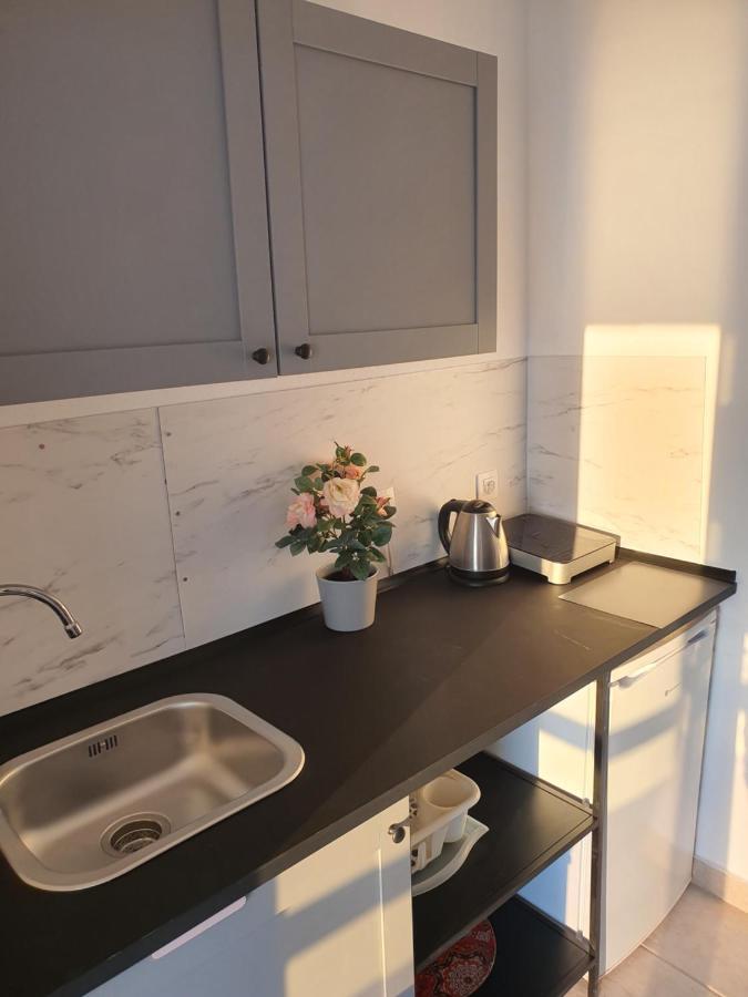 Sunset_Apartments Only 15 Meters From The Sea Neos Marmaras Luaran gambar